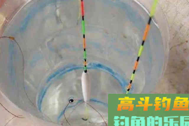 降温后，对付鲤鱼比钓草鱼还难？那是你没做到这3点