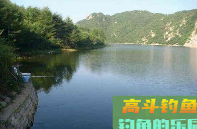 为何说野钓鲤一定要找坎 为何说野钓鲤一定要找坎