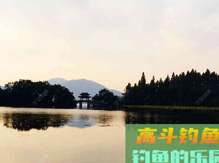 初冬钓大鲫体会，从四个方面解析，教你钓大鲫鱼