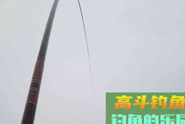 鲻鱼如何钓,钓内河鲻鱼的方法与技巧 鲻鱼如何钓,钓内河鲻鱼的方法与技巧