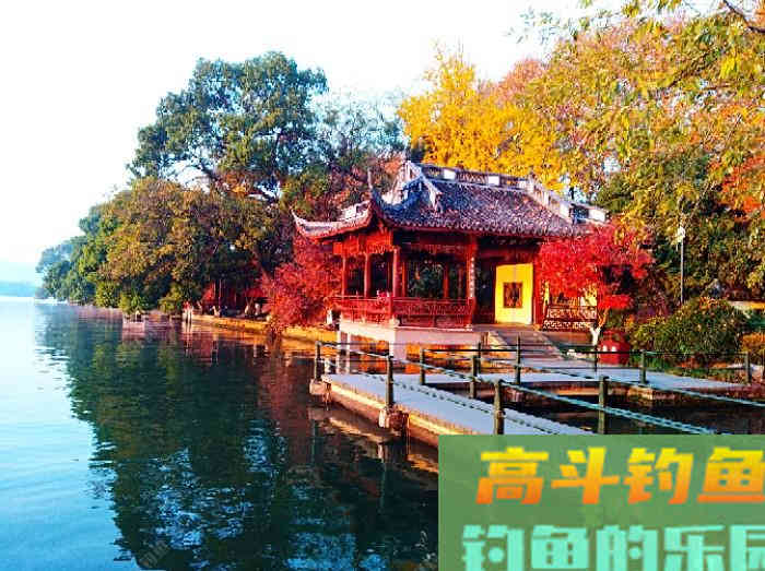 冬钓鲫鱼气温、温差与风力的影响,和鲫鱼的种种表现 冬钓鲫鱼气温、温差与风力的影响,和鲫鱼的种种表现