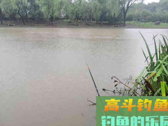 深秋钓鲫鱼:留意这3点,大板鲫连竿到爆 深秋钓鲫鱼:留意这3点,大板鲫连竿到爆