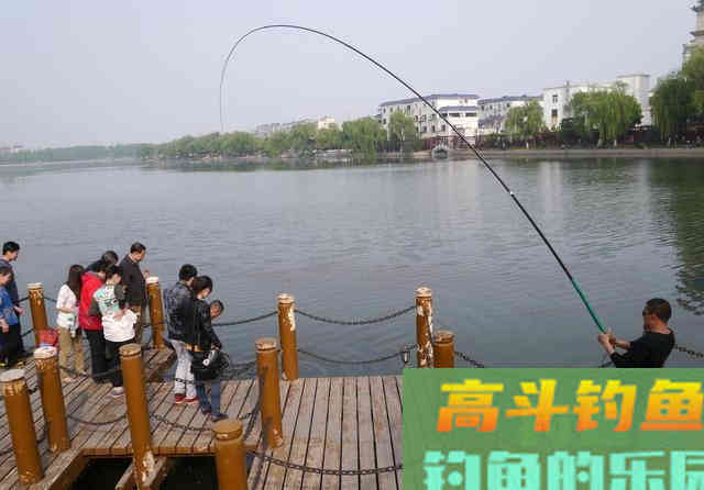黑坑钓青鱼正口少、锚得多?要了解前因后果 黑坑钓青鱼正口少、锚得多?要了解前因后果