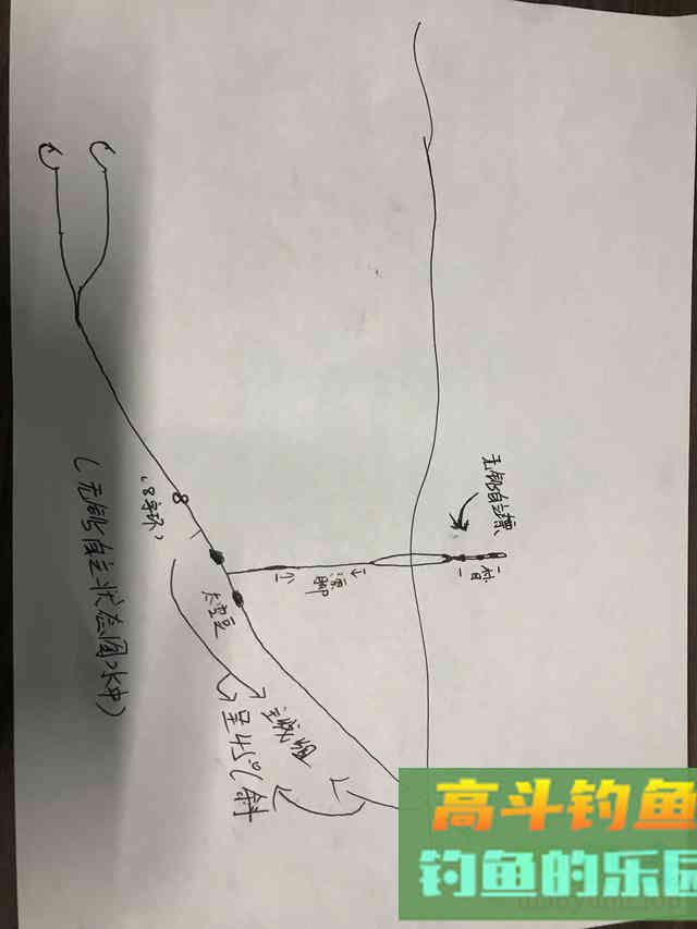 黑坑青鱼口很滑不好钓充分利用无铅自立钓法