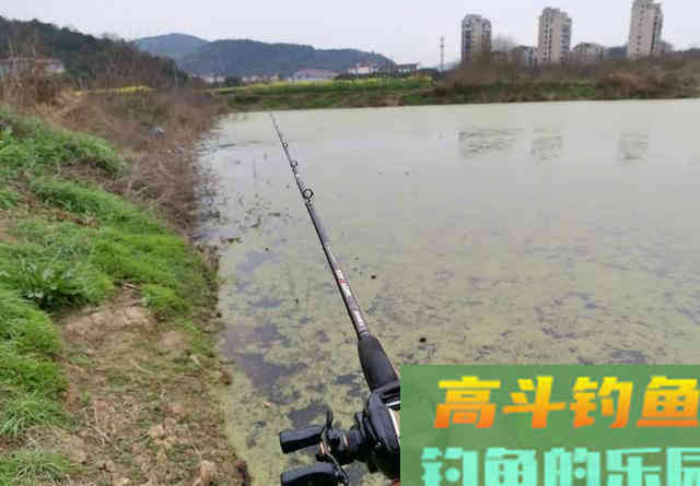 春天的黑鱼为何只咬一口？从水温入手找原因