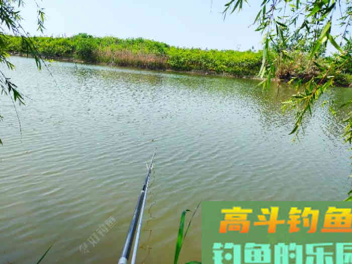 早春如何和鲫鱼斗智斗勇，钓早春鲫鱼的技巧都在这