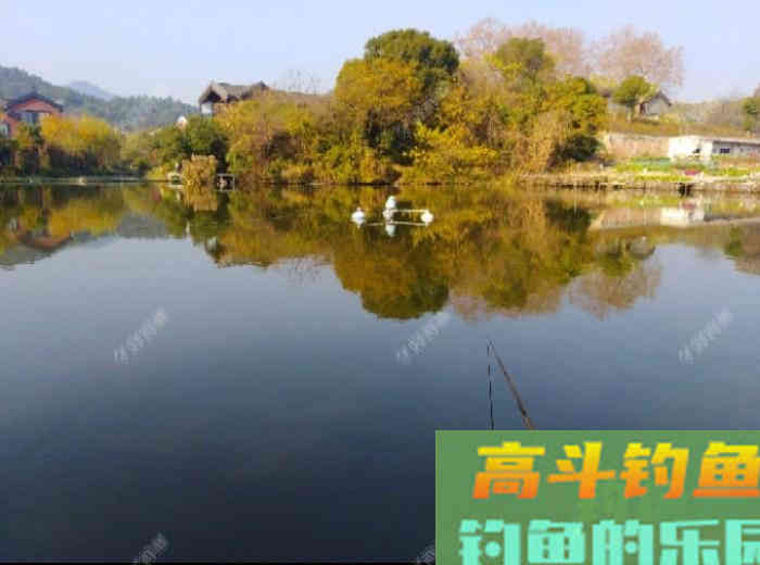 冬钓大鲫气温与鱼性和水深浅定位，窝饵与酒米作用