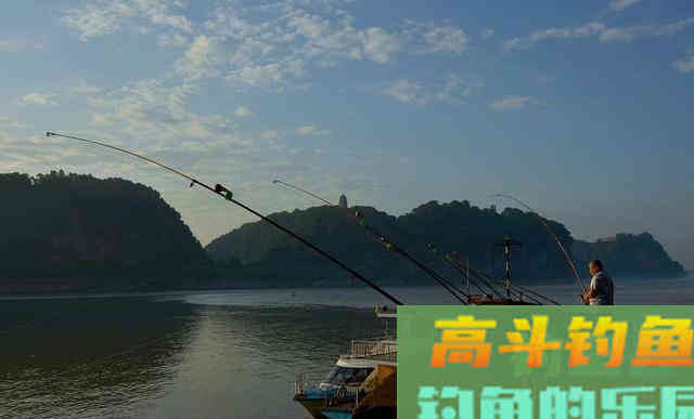 冬季钓青鱼必须掌握的4点技巧 冬季钓青鱼必须掌握的4点技巧