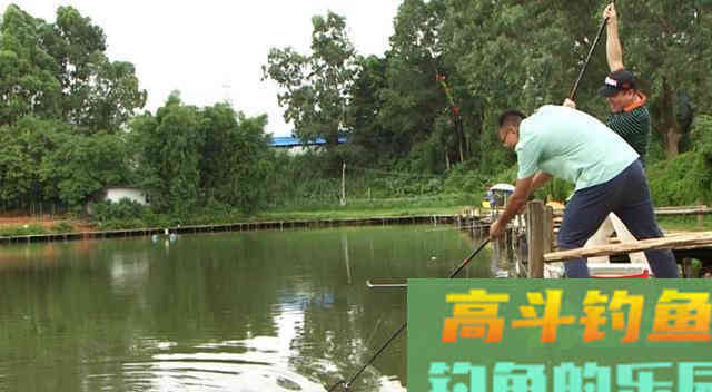 野钓鲤鱼,要以守为主,灵活应变 野钓鲤鱼,要以守为主,灵活应变