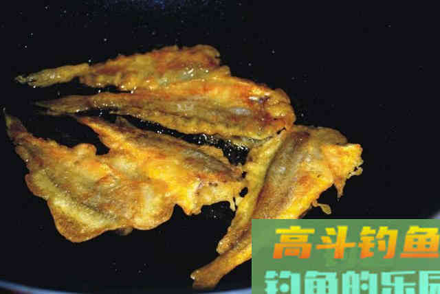 什么是黄鱼？如何垂钓黄鱼的一些技巧