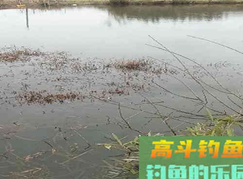 早春如何野钓鲫鱼呢?解析自然水域作钓鲫鱼的2技巧 早春如何野钓鲫鱼呢?解析自然水域作钓鲫鱼的2技巧