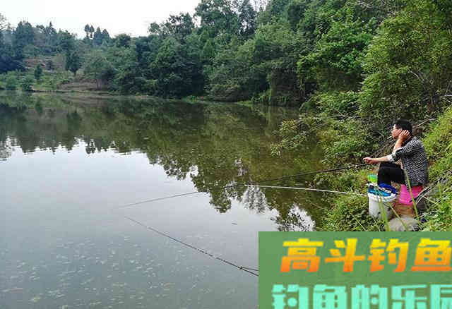 方能避开这种“臭名昭著”的鱼 方能避开这种“臭名昭著”的鱼