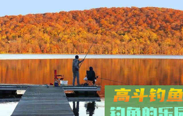 秋季野外钓草有技巧