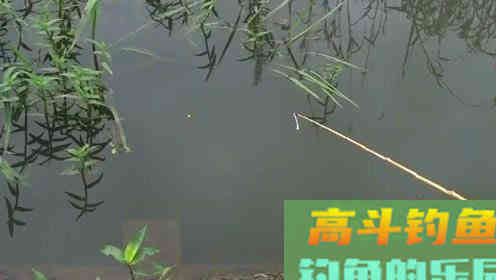 这种钓法不用饵，专门钓草洞、冰洞，上钩的全是大鲫鱼