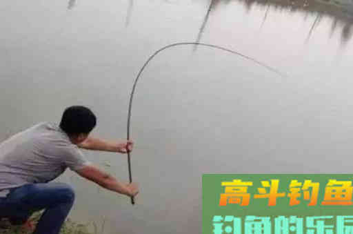 初夏钓草鱼只要熟悉以下这套钓法,收获会好 初夏钓草鱼只要熟悉以下这套钓法,收获会好