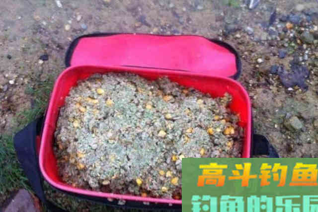 原来这才是&ldquo;征服&rdquo;鲤鱼的最佳方式