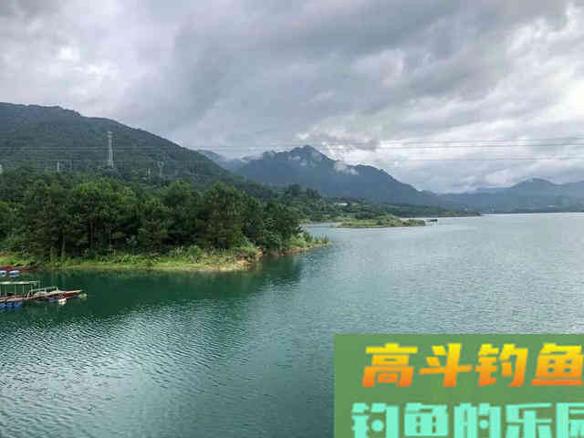 鲢鳙做钓的注意点,掌握好以下6条必定收获满满! 鲢鳙做钓的注意点,掌握好以下6条必定收获满满!