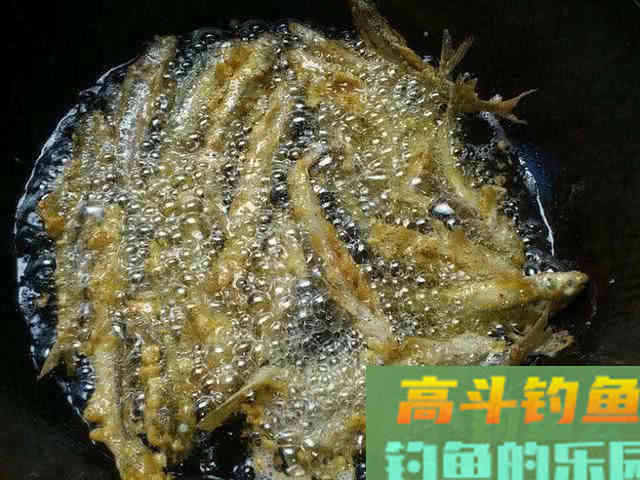 船丁子的钓法介绍，此鱼身长嘴巴小行动迅速