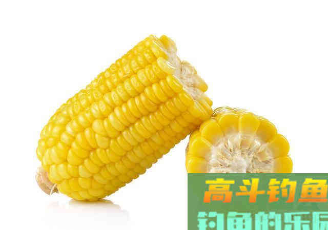 常用的三种草鱼钓法,用饵和思路还上另有篇章 常用的三种草鱼钓法,用饵和思路还上另有篇章