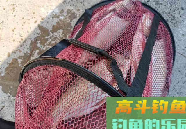 手竿钓鲢鳙,你不知道的5个小知识 手竿钓鲢鳙,你不知道的5个小知识