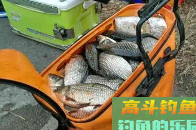 看看老钓手怎么对付大板鲫的,这波操作太棒了 看看老钓手怎么对付大板鲫的,这波操作太棒了