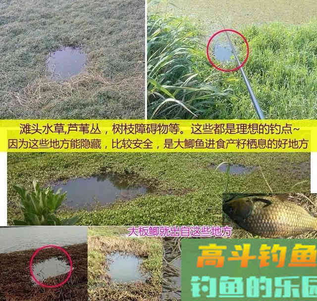 冬季钓鲫鱼,钓位选择很重要,这些选位技巧要知道 冬季钓鲫鱼,钓位选择很重要,这些选位技巧要知道