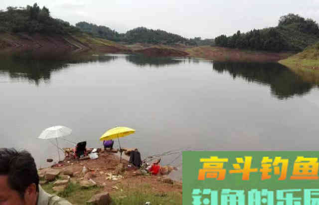 手竿也能钓到鳜鱼?钓鱼人非要这么干,我有两种方法 手竿也能钓到鳜鱼?钓鱼人非要这么干,我有两种方法