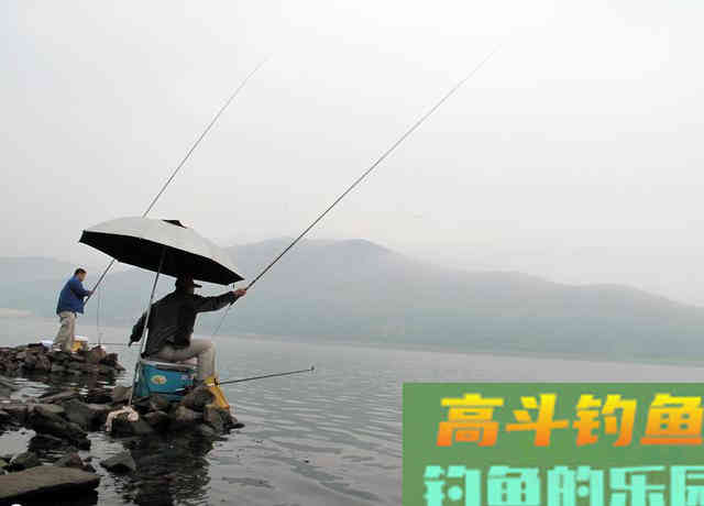 意外钓到黄鳝,总结出了草中钓黄鳝的技巧 意外钓到黄鳝,总结出了草中钓黄鳝的技巧