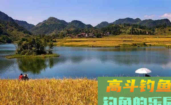 仲秋时节钓草鱼，用这种方法轻松钓获大草鱼