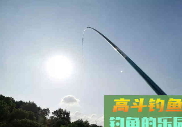 冬天钓鲢鳙你得换个套路,比诱鱼更重要的是找鱼 冬天钓鲢鳙你得换个套路,比诱鱼更重要的是找鱼