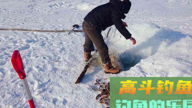 山鲶鱼的习性，垂钓需要注意的事项等