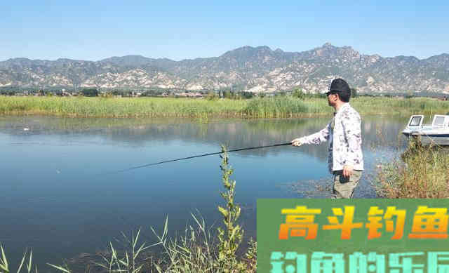 野钓鲤鱼,要以守为主,灵活应变 野钓鲤鱼,要以守为主,灵活应变