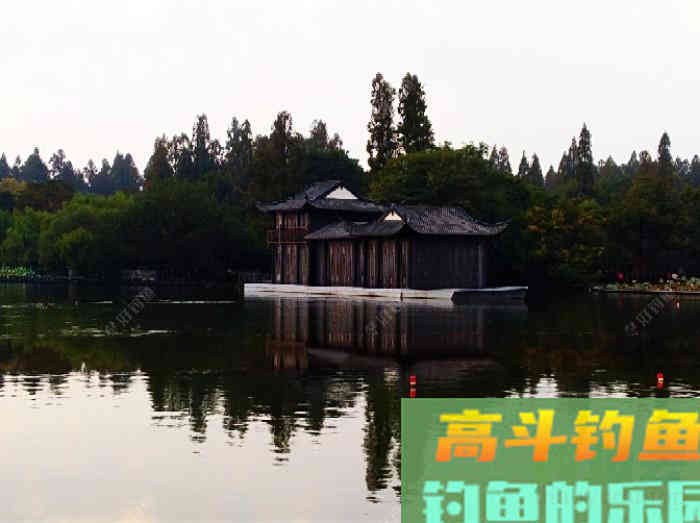 初冬钓大鲫体会，从四个方面解析，教你钓大鲫鱼