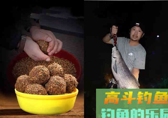 钓青鱼使用玉米饵料垂钓，我们应该如何调钓