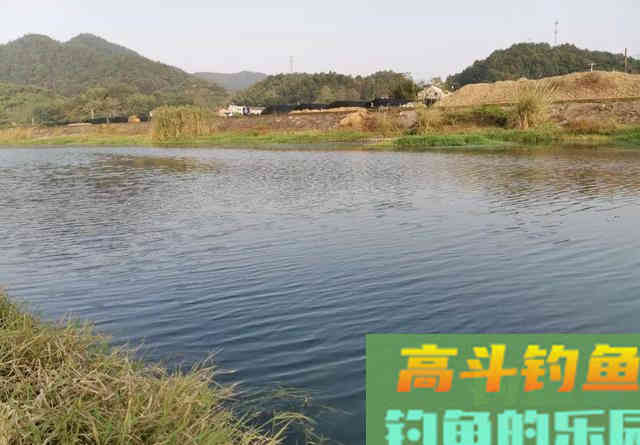 冬钓鲫,朝南坐还是朝北坐? 冬钓鲫,朝南坐还是朝北坐?