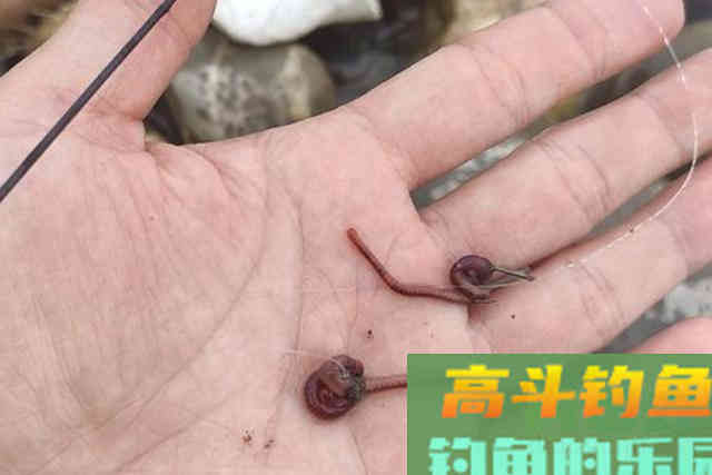 惊蛰前后，黄颡鱼才最不好钓，果断换用这3招