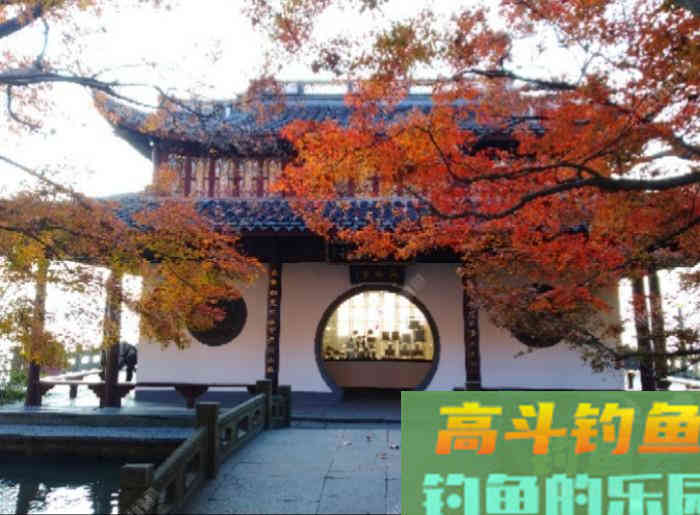 冬钓大鲫气温与鱼性和水深浅定位，窝饵与酒米作用