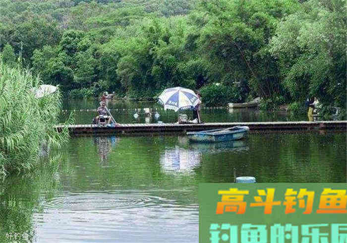 鲫鱼钓底还是钓浮？是需要根据现场环境来定的