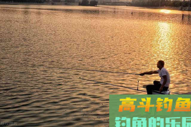 野钓鲤鱼时,为什么你总是提竿不中鱼 野钓鲤鱼时,为什么你总是提竿不中鱼