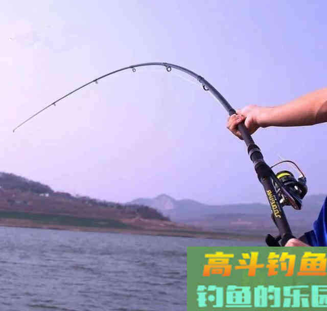 一年一度鲢鳙季,鲢鳙的垂钓也即将进入高潮 一年一度鲢鳙季,鲢鳙的垂钓也即将进入高潮