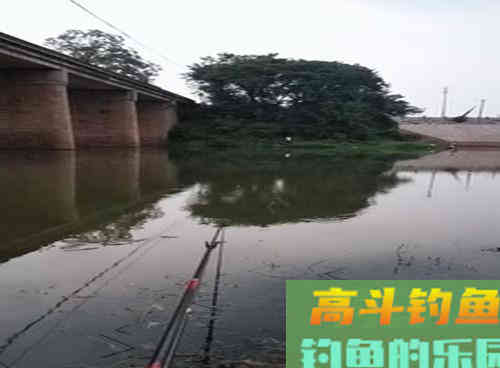 深秋降温还能不能钓到野生鲤鱼?老钓友教你两招,深秋野钓上鲤鱼 深秋降温还能不能钓到野生鲤鱼?老钓友教你两招,深秋野钓上鲤鱼