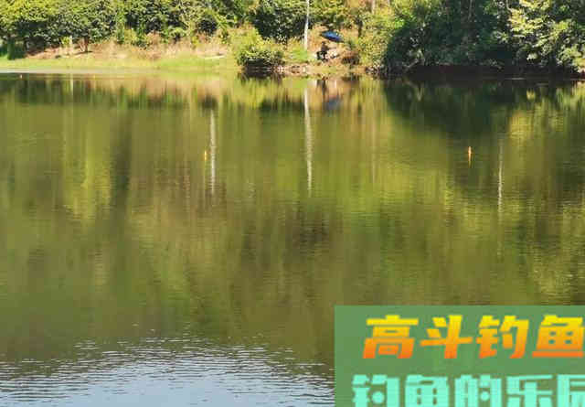 抛竿钓鲢鳙,新手试试我这个办法 抛竿钓鲢鳙,新手试试我这个办法