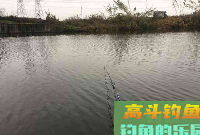 谁说钓鲫鱼非得用短竿?遇到这3种情况,鱼竿用7.2米都可以 谁说钓鲫鱼非得用短竿?遇到这3种情况,鱼竿用7.2米都可以