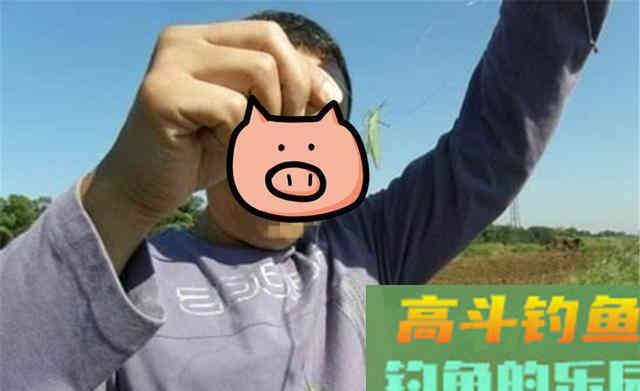 秋季野钓草鱼,用串钩钓浮别钓底 秋季野钓草鱼,用串钩钓浮别钓底