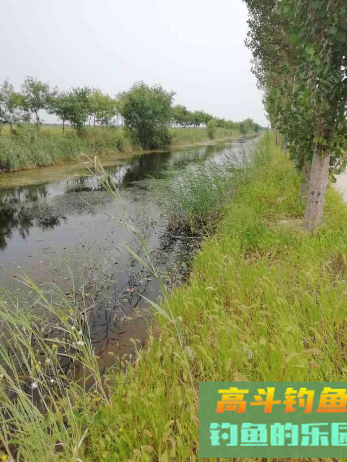 野钓策(20)小微水体野钓鲫鱼选位比对 野钓策(20)小微水体野钓鲫鱼选位比对