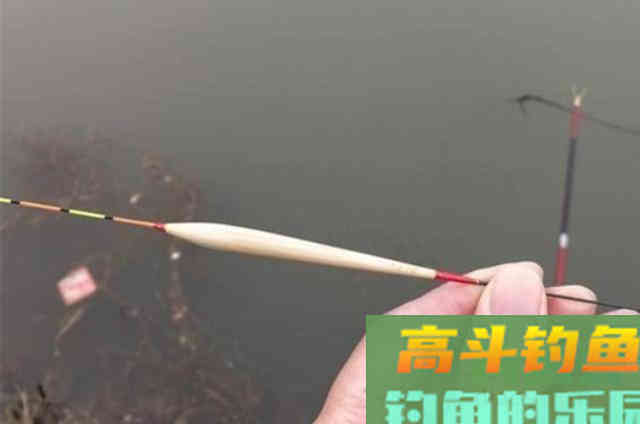 怪不得老司机不愿说,这套千金不换的鲫鱼钓法 怪不得老司机不愿说,这套千金不换的鲫鱼钓法