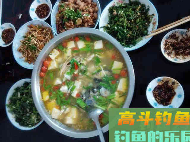 从3个方面掌握手竿钓鲢鳙的技巧，以后越钓越多