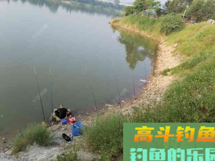大水面如何垂钓鲤?从抛竿、爆炸钩等方面解析 大水面如何垂钓鲤?从抛竿、爆炸钩等方面解析