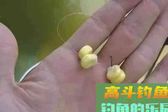 谁说夏季不好钓草鱼？窝料按我说的打，竿子拉弯