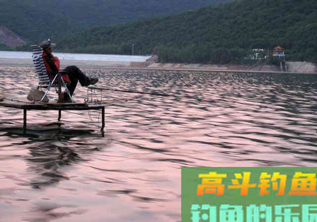 到底初秋如何野钓鳊鱼呢?秋季野钓做好这四点即可 到底初秋如何野钓鳊鱼呢?秋季野钓做好这四点即可